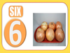 Snapshot Six Onions Image